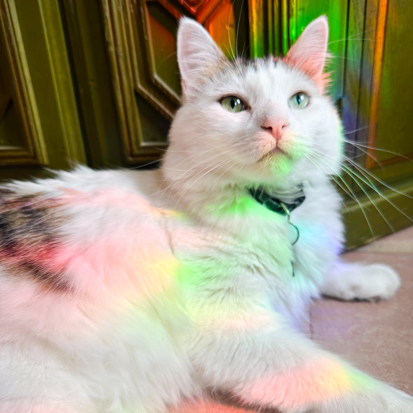 Bee Kind Suncatcher Sticker