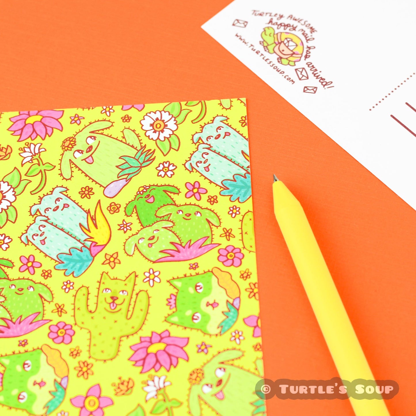 Cactus-Pups-Plants-Southwestern-Desert-Postcard-Turtle_s-Soup