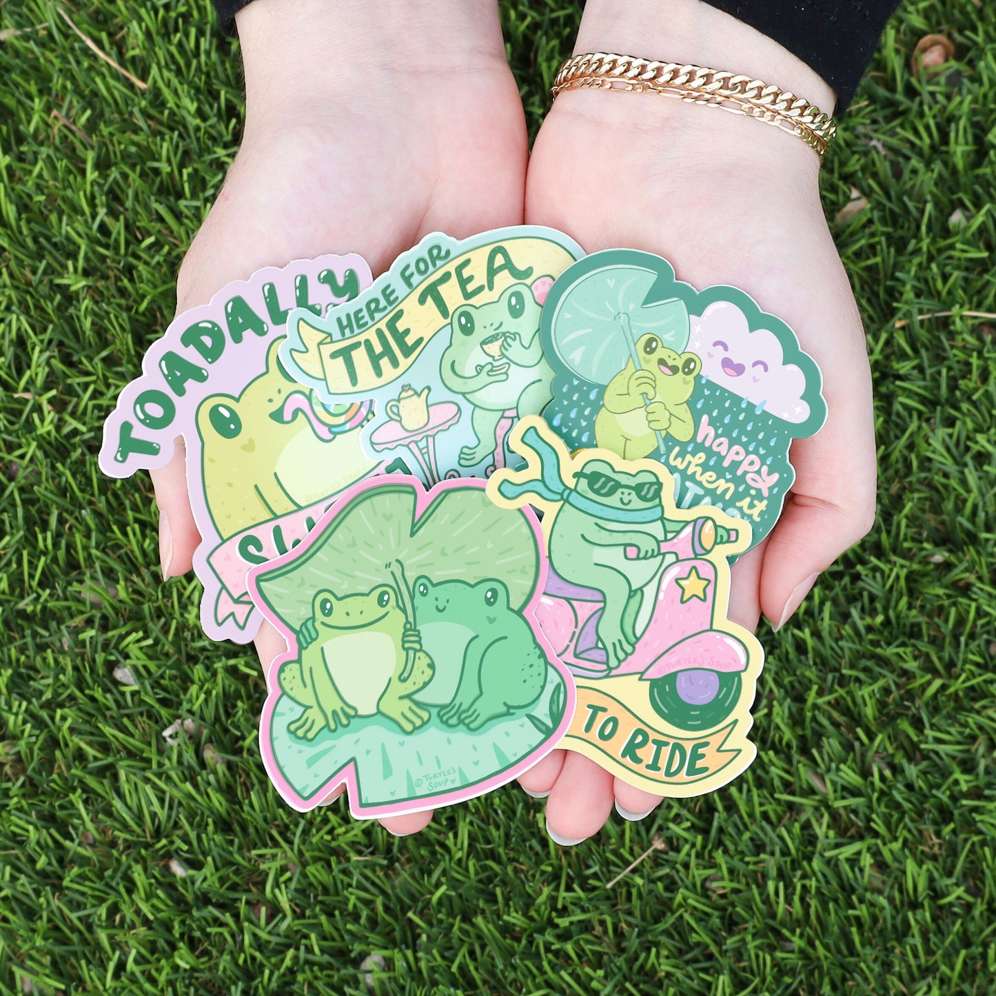 Toads and Frogs Pack of 6 Vinyl Stickers