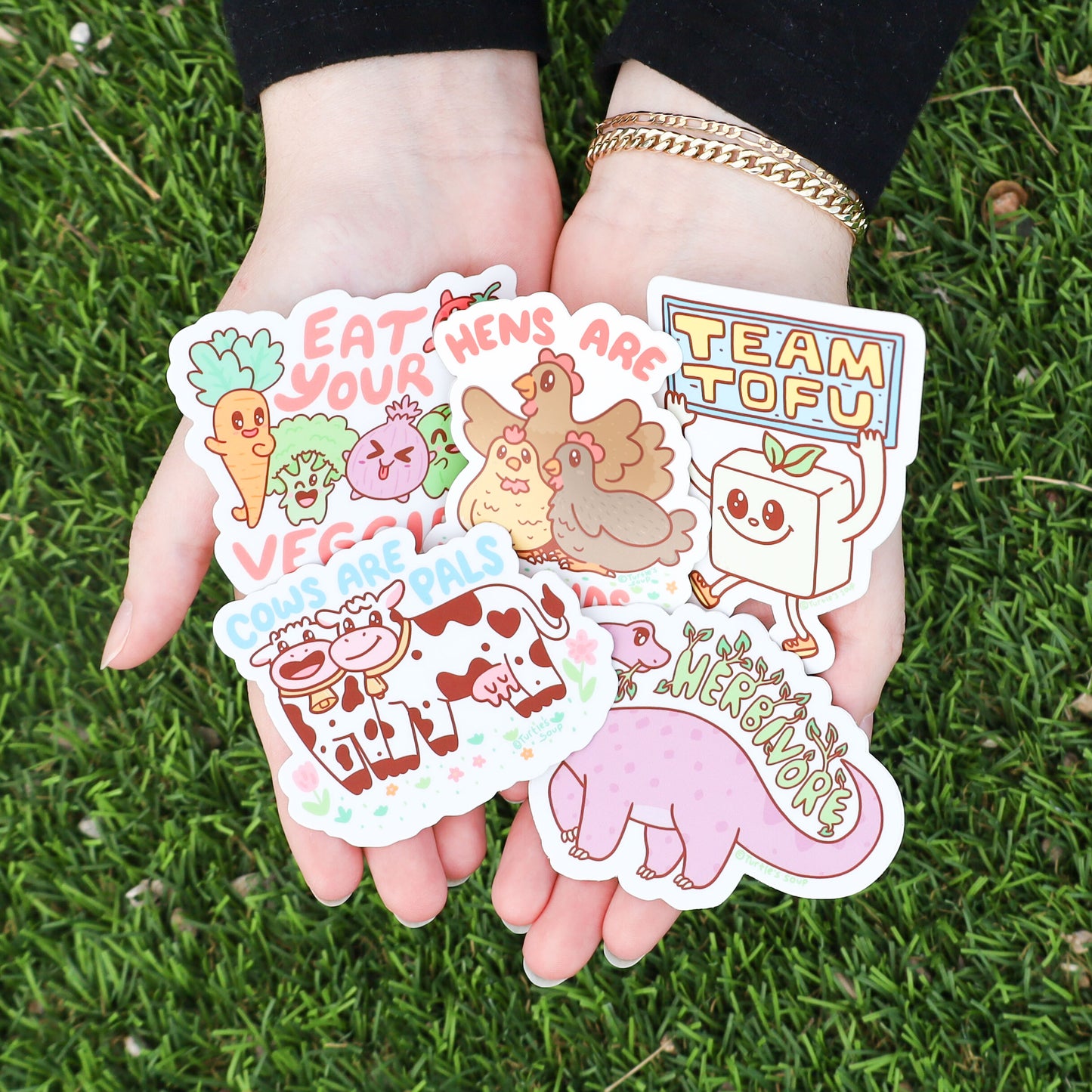 Vegan Vegetarian Foodie Pack of 6 Vinyl Stickers