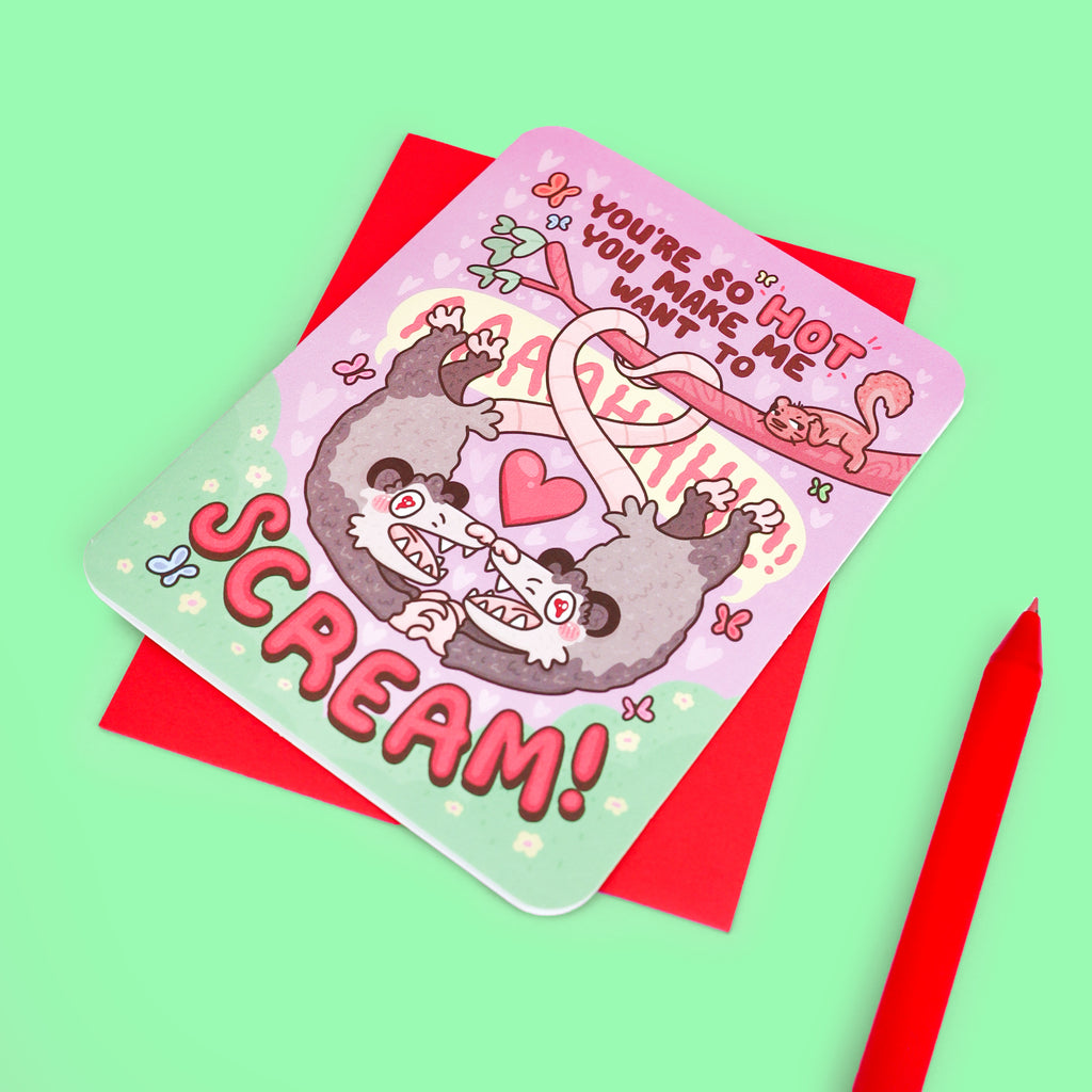You're So Hot Opossum Funny Valentine's Day Card
