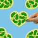 Pickle Heart Waterproof Vinyl Sticker