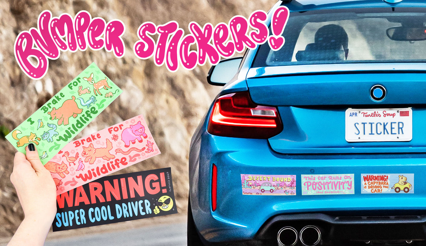 bumper sticker on car