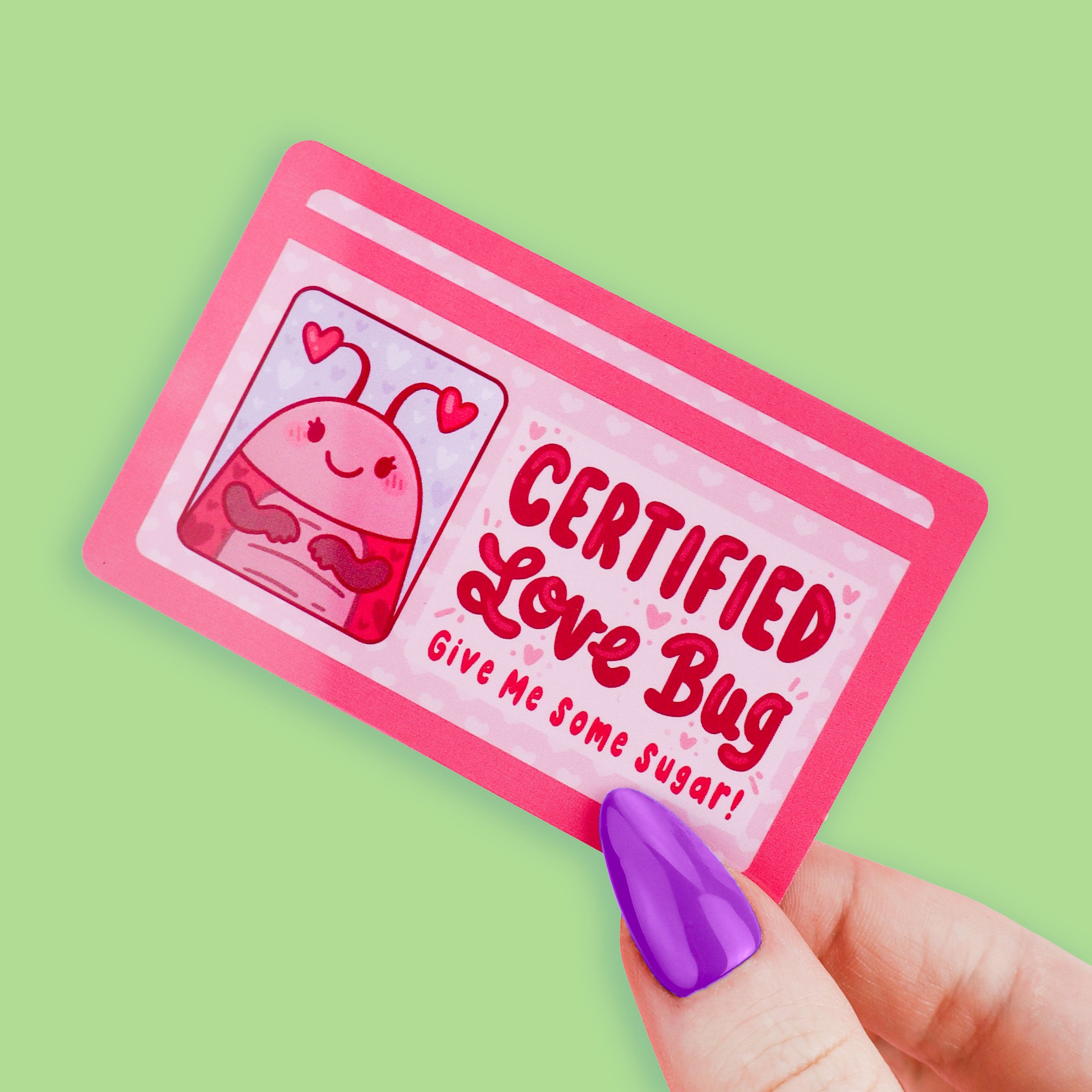 Certified Love Bug Fake Drivers License – Turtle's Soup