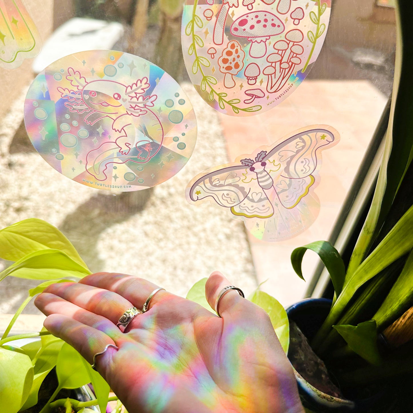 Bee Kind Suncatcher Sticker