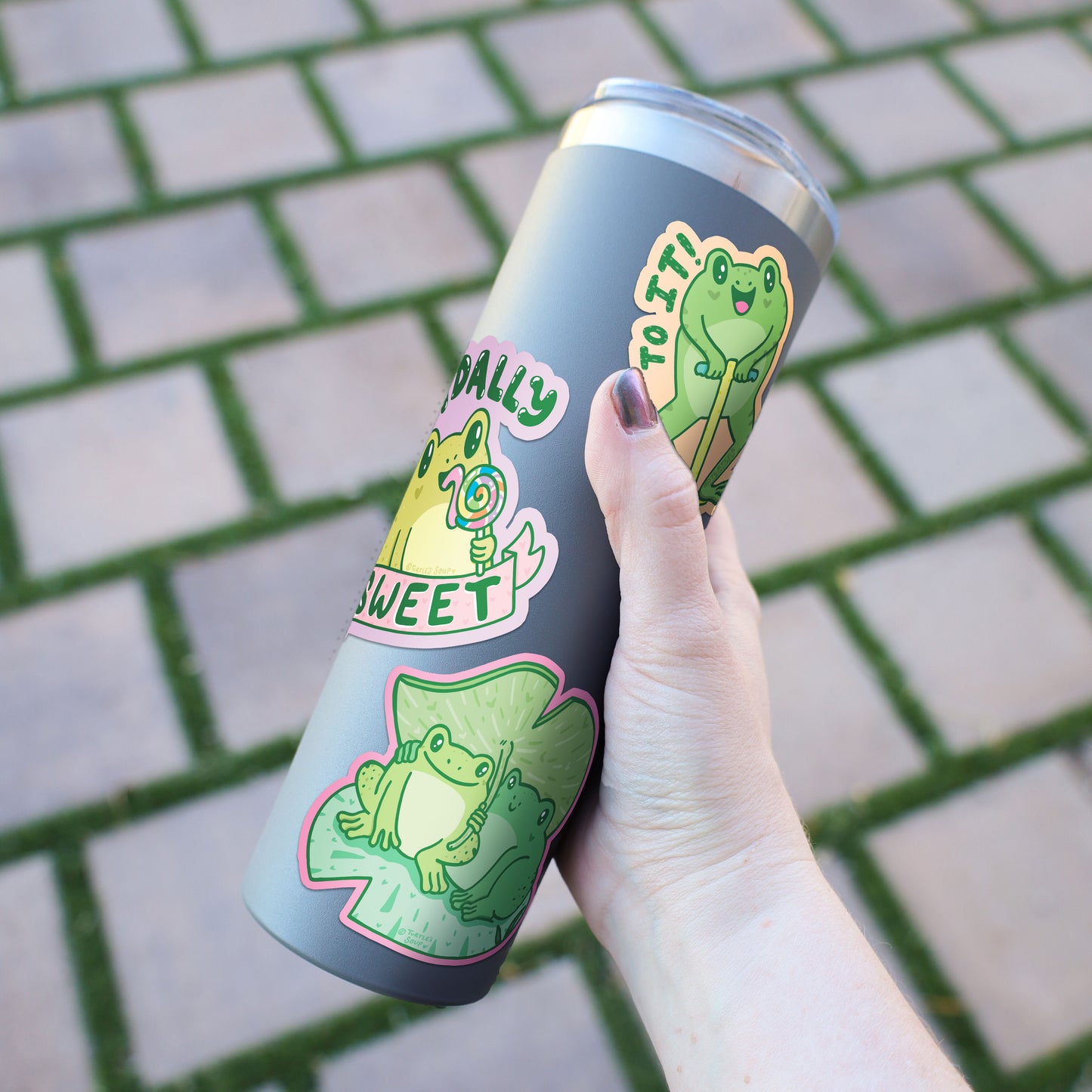 Toads and Frogs Pack of 6 Vinyl Stickers