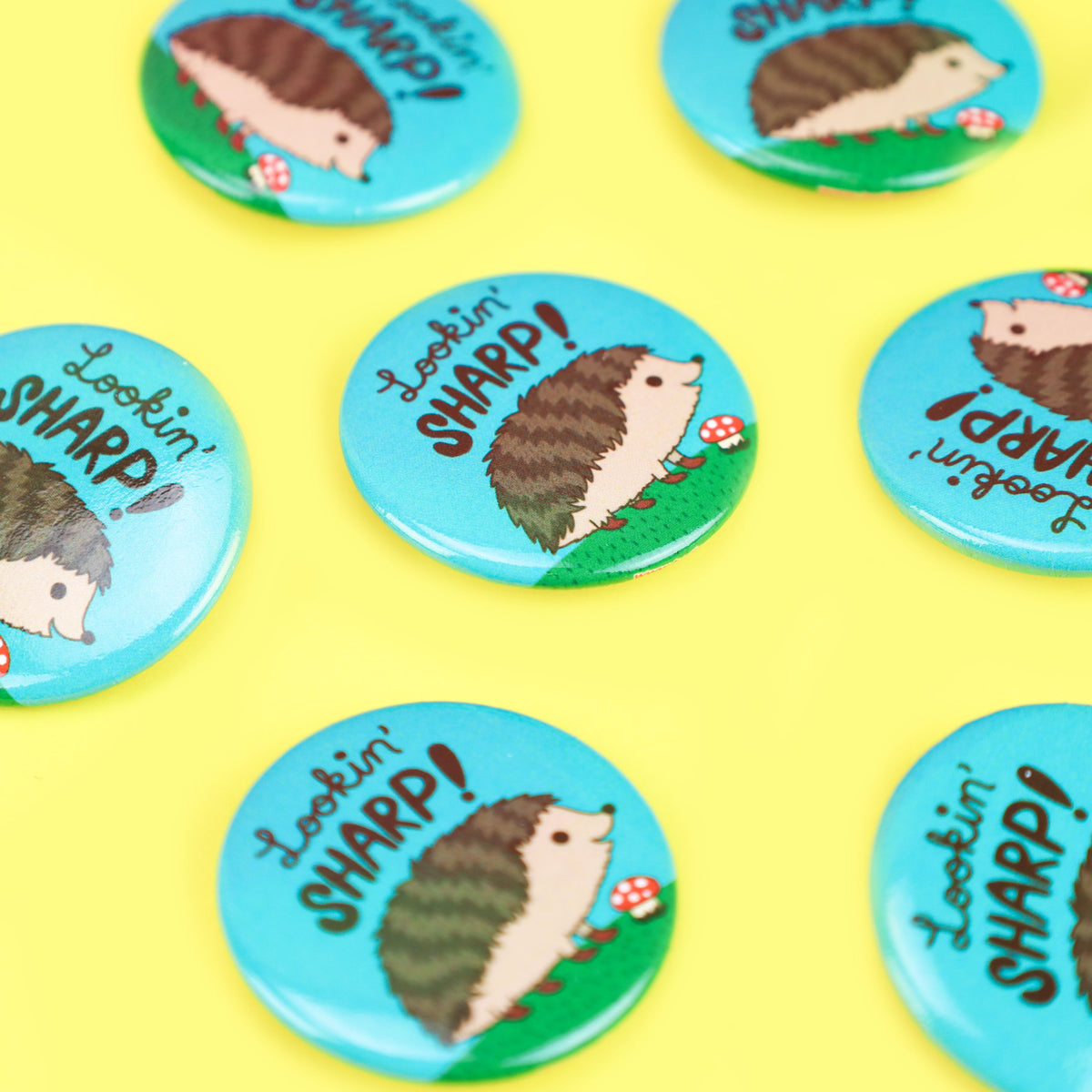 Look In Sharp Hedgehog Lookin' Sharp Hedgehog Pinback Button – Turtle's Soup