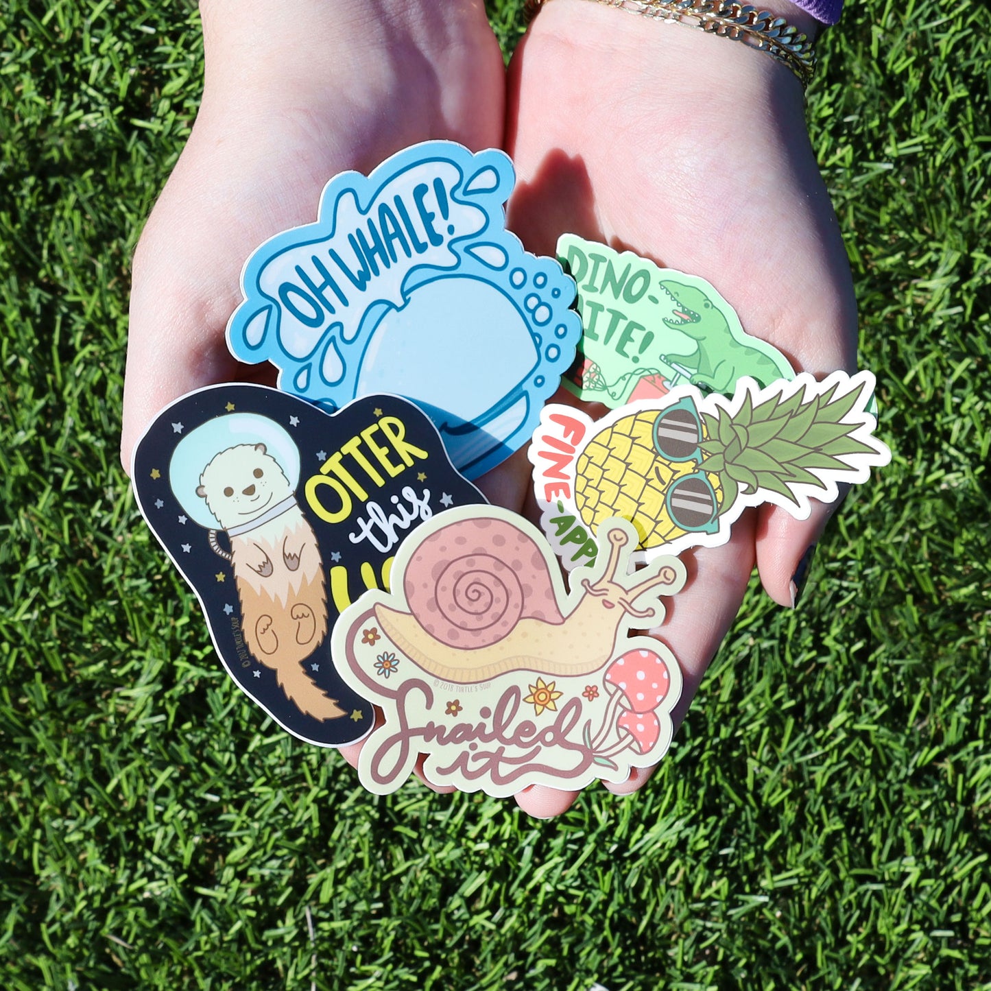 Funny Puns Silly Phrases Punny Pack of 10 Vinyl Stickers