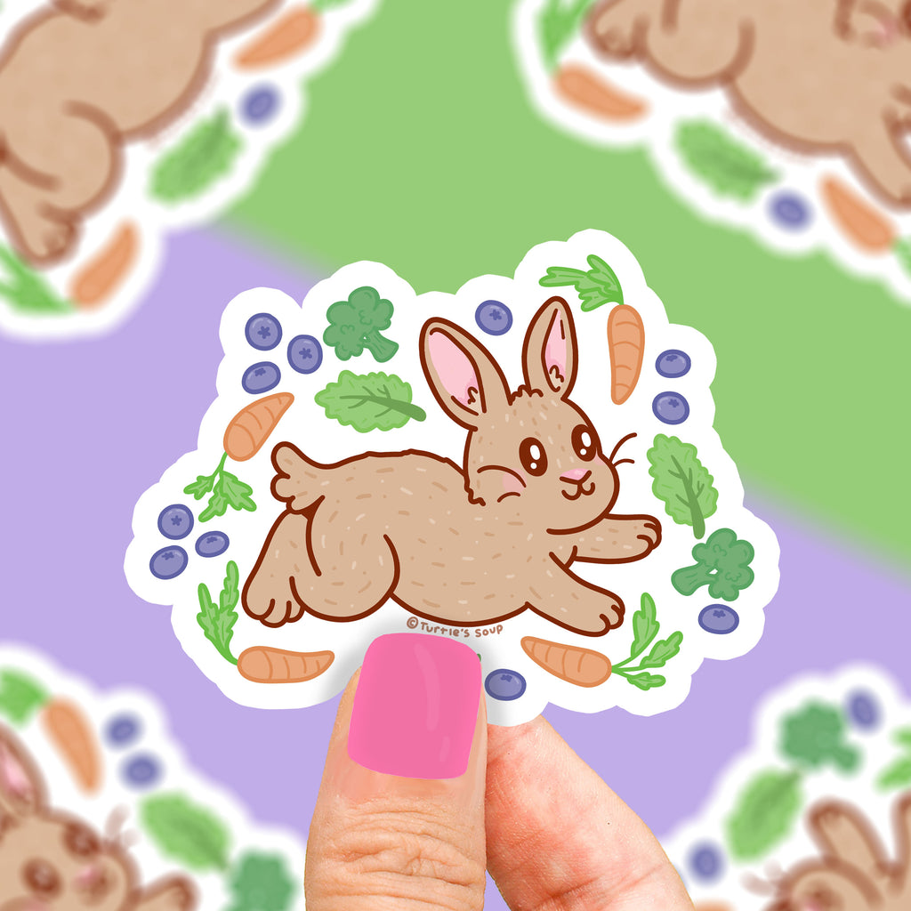 pet rabbit vinyl sticker