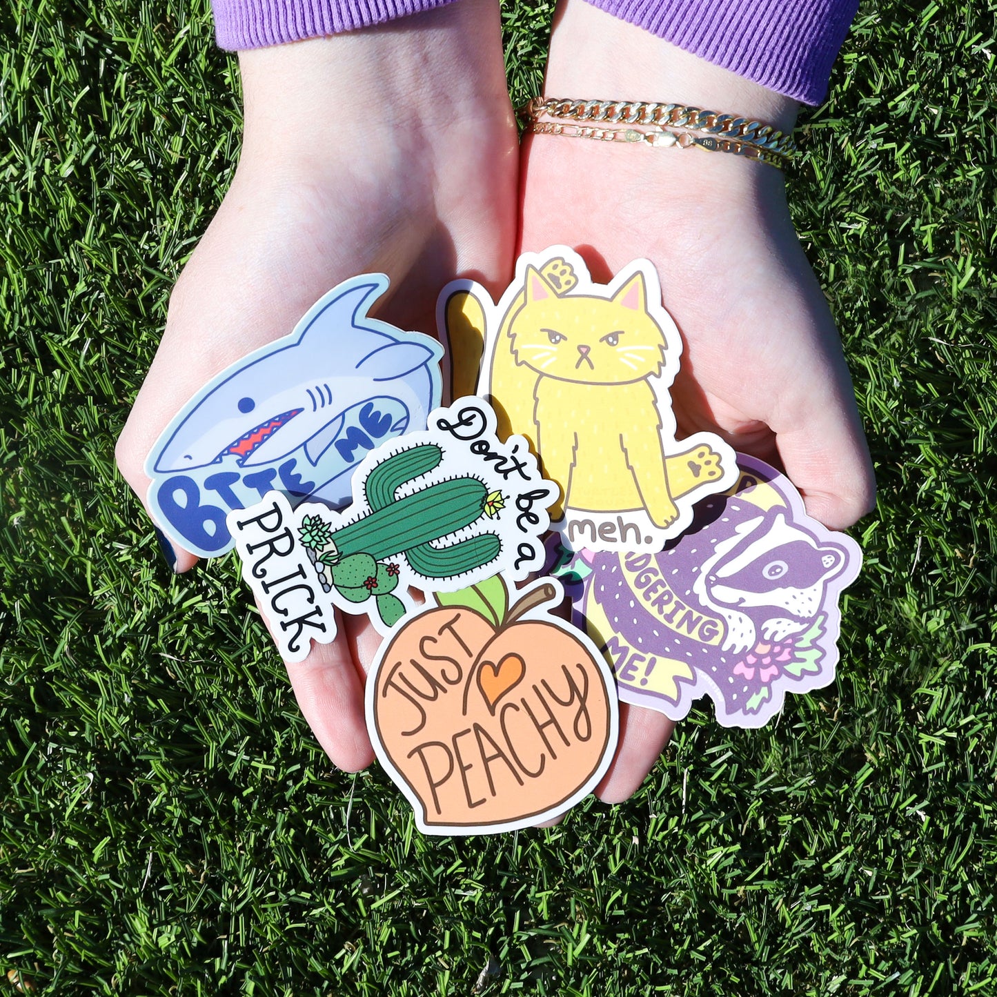 Sassy and Sarcastic Pack of 9 Vinyl Stickers